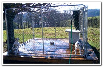 outdoor dog kennel flooring