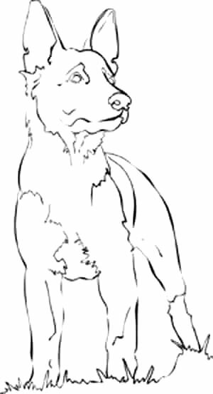 Relestik Colouring Sheets Of Dogs Free Coloring Pages